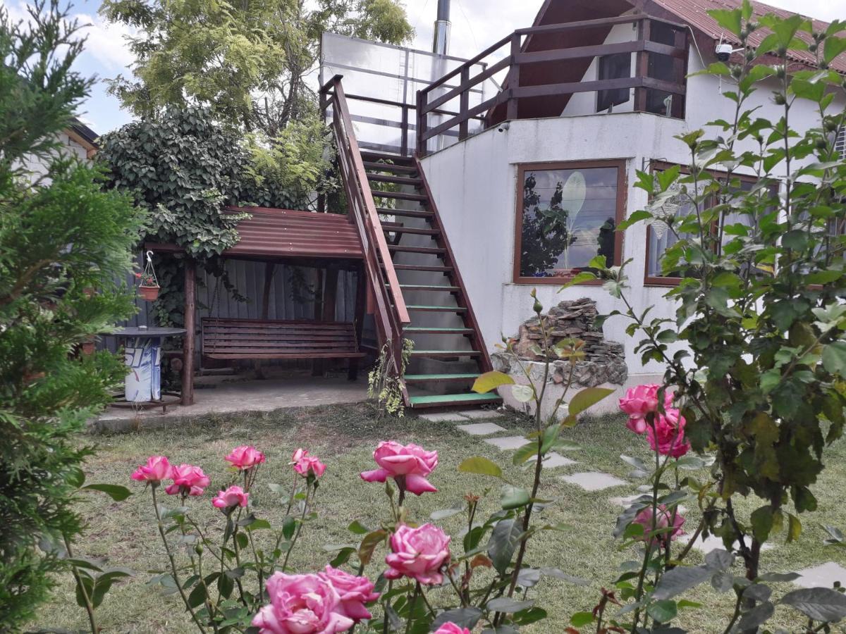Casa Chitu Casa de hóspedes Murighiol Exterior foto