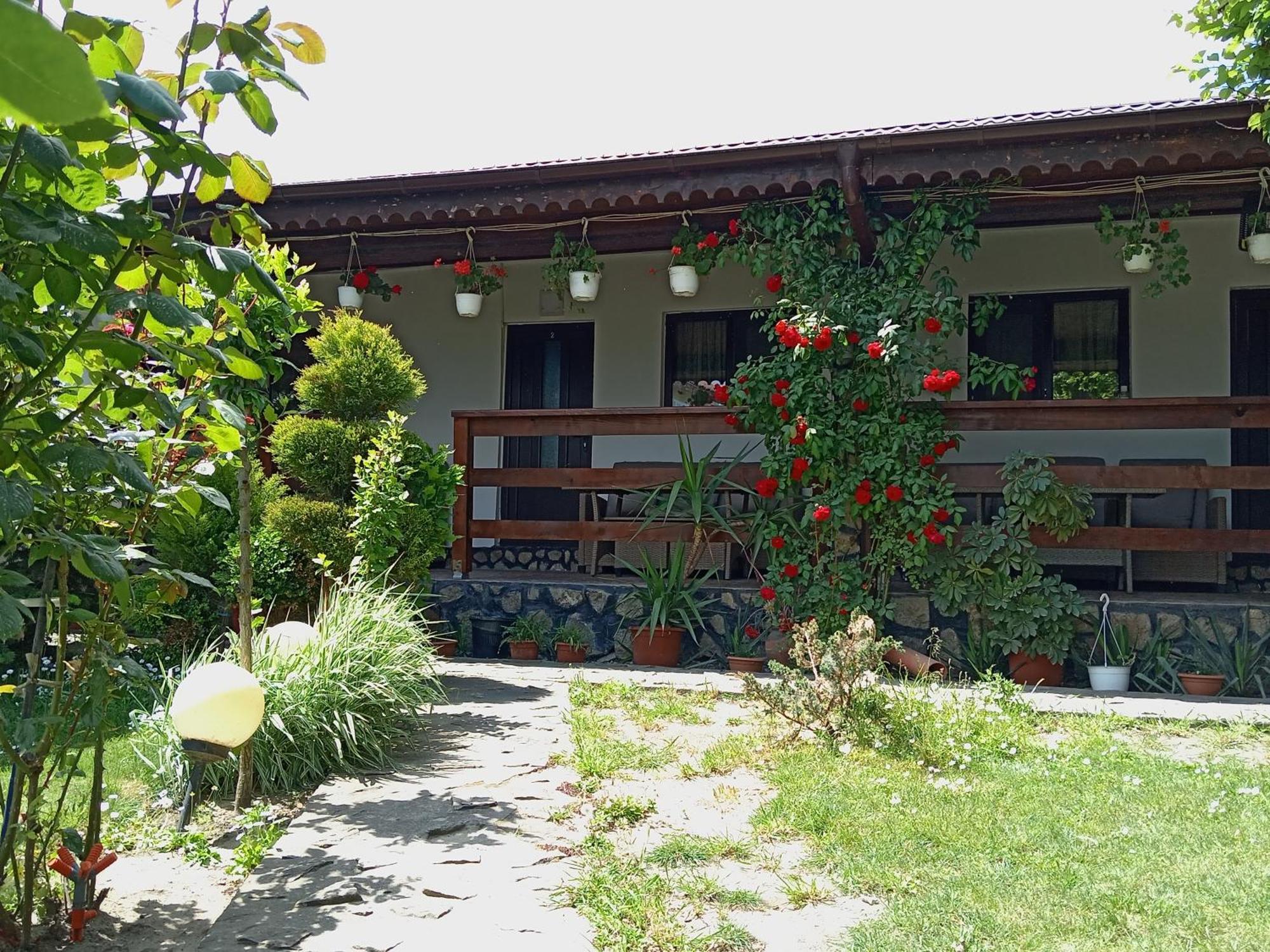 Casa Chitu Casa de hóspedes Murighiol Exterior foto